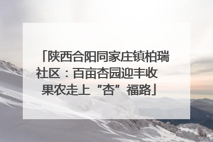 陕西合阳同家庄镇柏瑞社区：百亩杏园迎丰收 果农走上“杏”福路