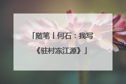 随笔丨何石：我写《驻村冻江源》