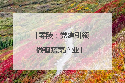 零陵：党建引领 做强蔬菜产业