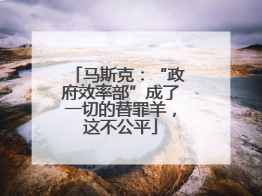 马斯克：“政府效率部”成了一切的替罪羊，这不公平
