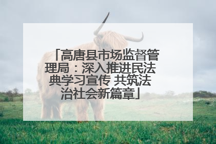 高唐县市场监督管理局：深入推进民法典学习宣传 共筑法治社会新篇章