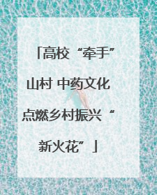 高校“牵手”山村 中药文化点燃乡村振兴“新火花”