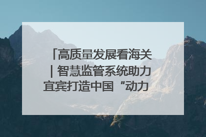 高质量发展看海关｜智慧监管系统助力宜宾打造中国“动力电池之都”