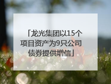 龙光集团以15个项目资产为9只公司债券提供增信