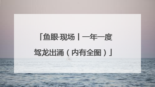 鱼眼·现场丨一年一度 驾龙出涌（内有全图）