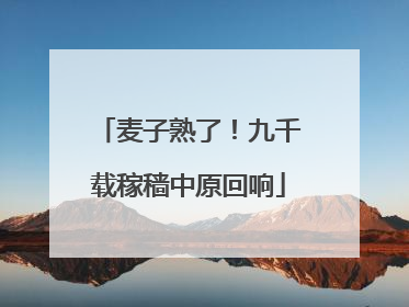 麦子熟了！九千载稼穑中原回响