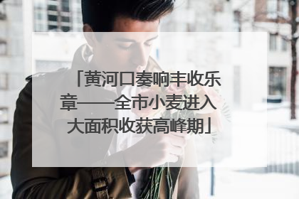 黄河口奏响丰收乐章——全市小麦进入大面积收获高峰期