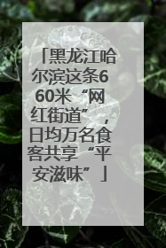 黑龙江哈尔滨这条660米“网红街道”，日均万名食客共享“平安滋味”