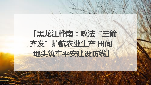 黑龙江桦南：政法“三箭齐发”护航农业生产 田间地头筑牢平安建设防线