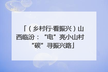（乡村行·看振兴）山西临汾：“电”亮小山村 “碳”寻振兴路