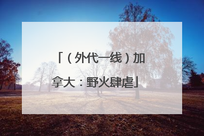 （外代一线）加拿大：野火肆虐
