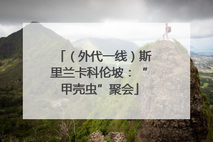 （外代一线）斯里兰卡科伦坡：“甲壳虫”聚会