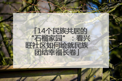 14个民族共居的“石榴家园”：看兴旺社区如何绘就民族团结幸福长卷