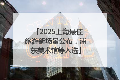 2025上海最佳旅游新场景公布，浦东美术馆等入选