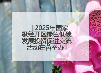 2025年国家级经开区绿色低碳发展投资促进交流活动在蓉举办
