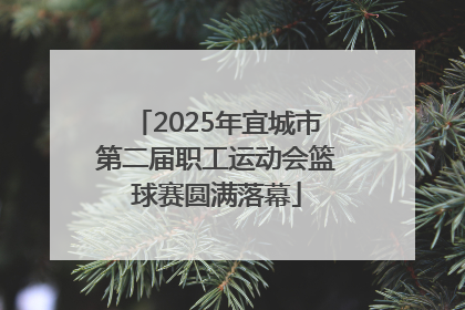 2025年宜城市第二届职工运动会篮球赛圆满落幕