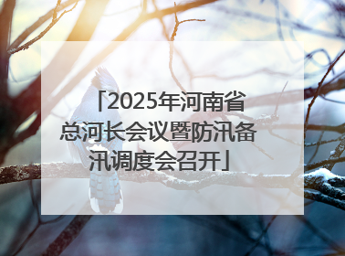 2025年河南省总河长会议暨防汛备汛调度会召开