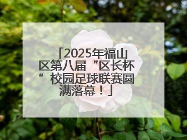 2025年福山区第八届“区长杯”校园足球联赛圆满落幕！