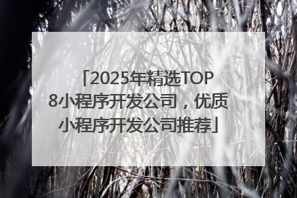 2025年精选TOP8小程序开发公司，优质小程序开发公司推荐