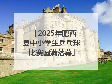 2025年肥西县中小学生乒乓球比赛圆满落幕