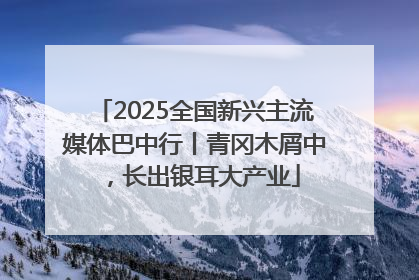 2025全国新兴主流媒体巴中行丨青冈木屑中，长出银耳大产业