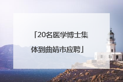 20名医学博士集体到曲靖市应聘
