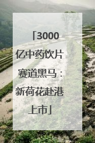 3000亿中药饮片赛道黑马：新荷花赴港上市