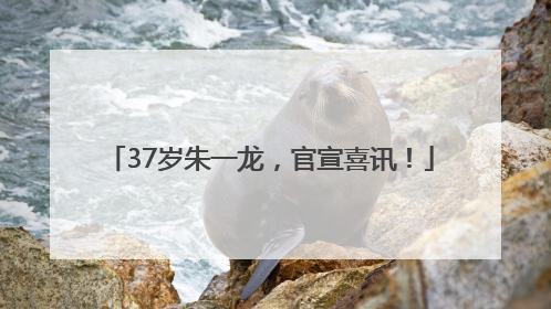 37岁朱一龙，官宣喜讯！