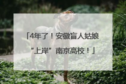 4年了！安徽盲人姑娘“上岸”南京高校！