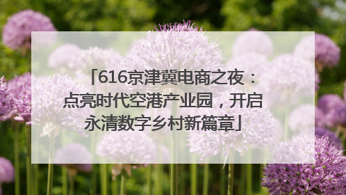 616京津冀电商之夜：点亮时代空港产业园，开启永清数字乡村新篇章