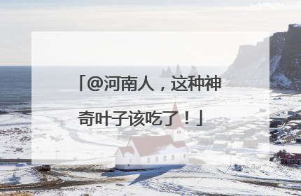@河南人，这种神奇叶子该吃了！
