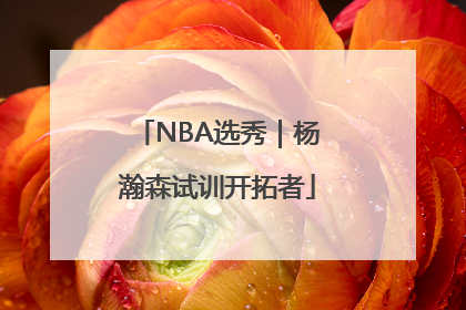 NBA选秀｜杨瀚森试训开拓者