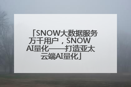 SNOW大数据服务万千用户，SNOW AI量化——打造亚太云端AI量化