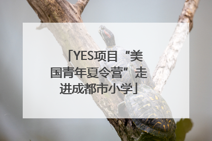 YES项目“美国青年夏令营”走进成都市小学